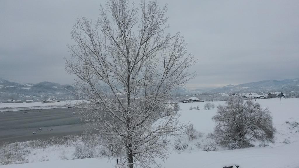 Pensiunea Lacul Albesti Albestii Paminteni Exterior foto